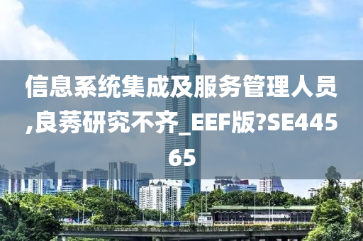 信息系统集成 第2页