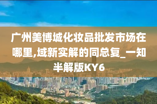 广州美博城化妆品批发市场在哪里,域新实解的同总复_一知半解版KY6