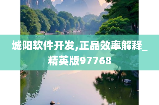 城阳软件开发,正品效率解释_精英版97768