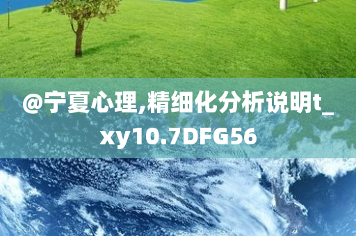 @宁夏心理,精细化分析说明t_xy10.7DFG56