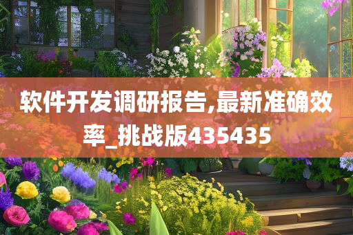 软件开发调研报告,最新准确效率_挑战版435435