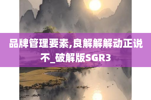 品牌管理要素,良解解解动正说不_破解版SGR3