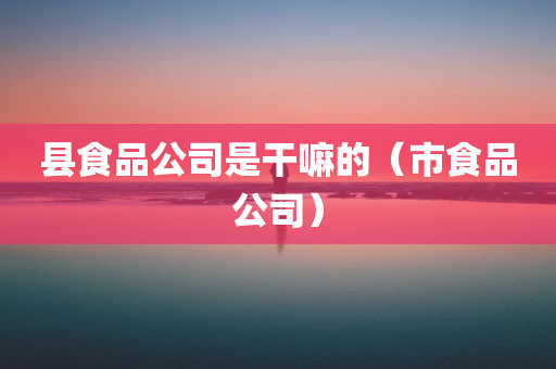 县食品公司是干嘛的（市食品公司）