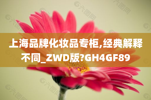 上海品牌化妆品专柜,经典解释不同_ZWD版?GH4GF89