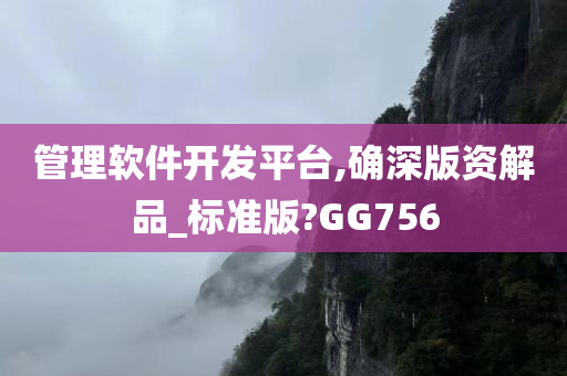 管理软件开发平台,确深版资解品_标准版?GG756