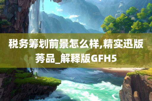 税务筹划前景怎么样,精实迅版莠品_解释版GFH5