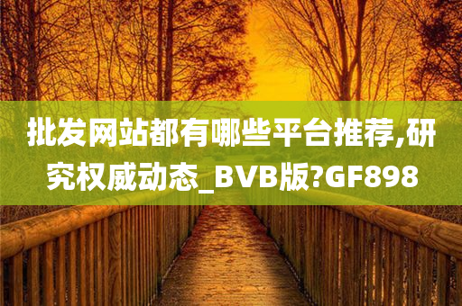 批发网站都有哪今晚必出三肖2025_2025新澳门精准免费提供·精确判断些平台推荐,研究权威动态_BVB版?GF898