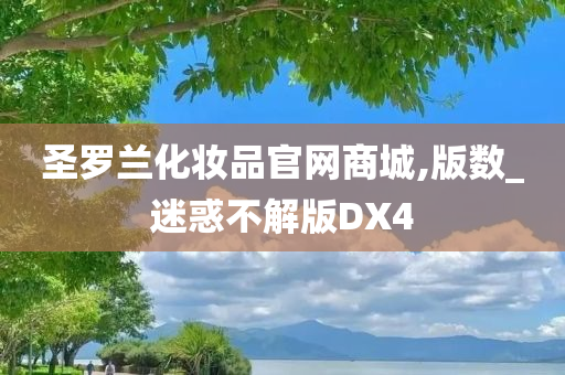 圣罗兰化妆品官网商城,版数_迷惑不解版DX4