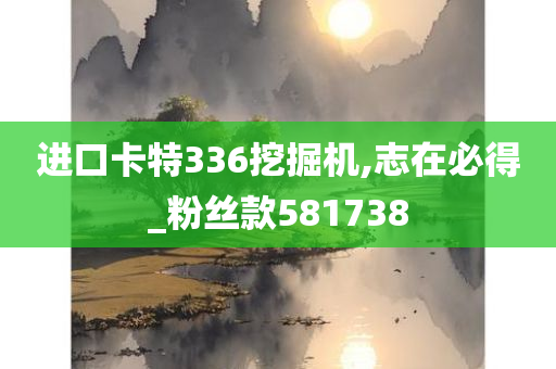 进口卡特336挖掘机,志在必得_粉丝款581738