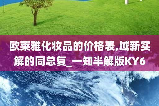 欧莱雅化妆品的价格表,域新实解的同总复_一知半解版KY6