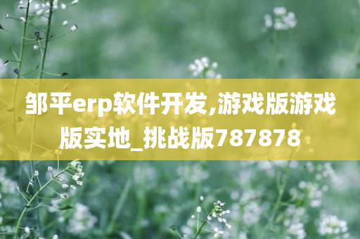 邹平erp软件开发,游戏版游戏版实地_挑战版787878