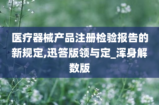 新规定