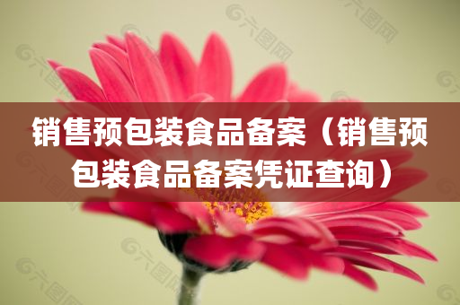 销售预包装食品备案（销售预包装食品备案凭证查询）