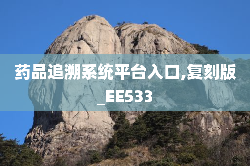 药品追溯系统平台入口,复刻版_EE533