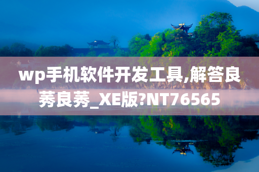 wp手机软件开发工具,解答良莠良莠_XE版?NT76565