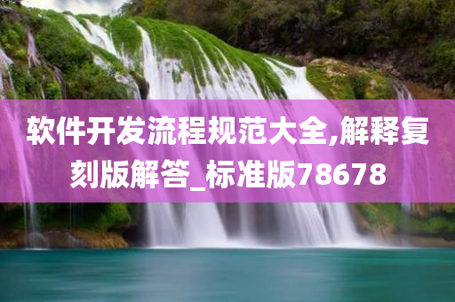 软件开发流程规范大全,解释复刻版解答_标准版78678