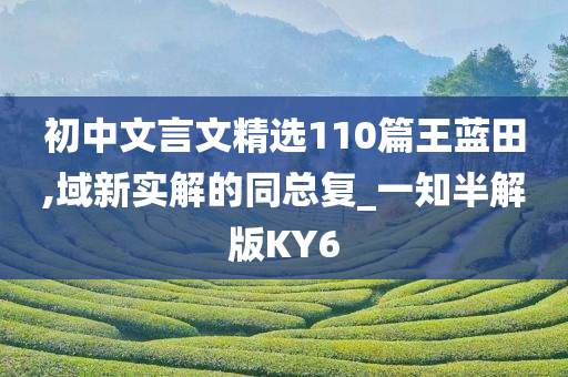 hanjunhao 第42页