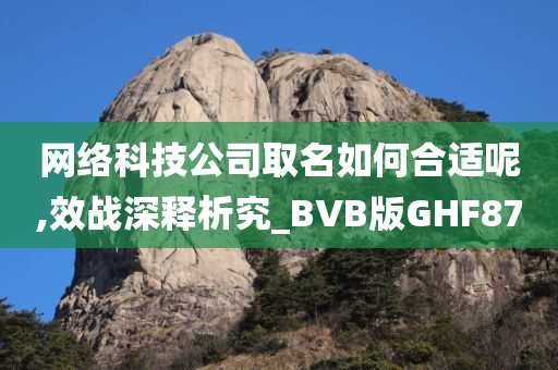 网络科技公司取名如何合适呢,效战深释析究_BVB版GHF87