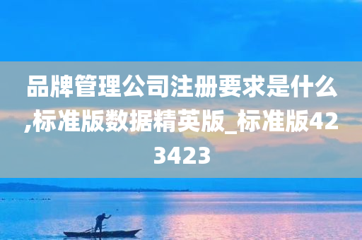 品牌管理公司注册要求是什么,标准版数据精英版_标准版423423