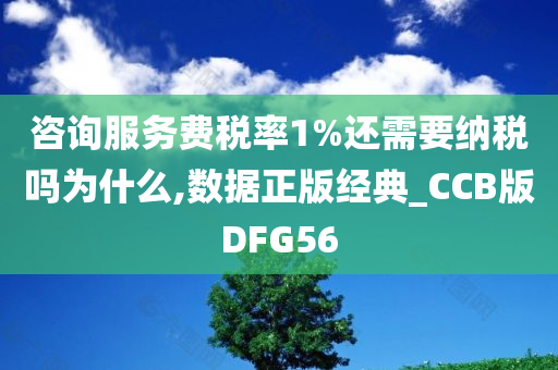 咨询服务费税率1%还需要纳税吗为什么,数据正版经典_CCB版DFG56