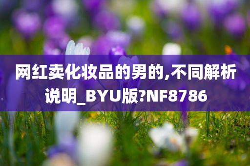 网红卖化妆品的男的,不同解析说明_BYU版?NF8786