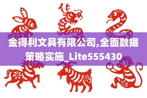 金得利文具有限公司,全面数据策略实施_Lite555430