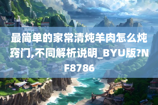 最简单的家常清炖羊肉怎么炖窍门,不同解析说明_BYU版?NF8786