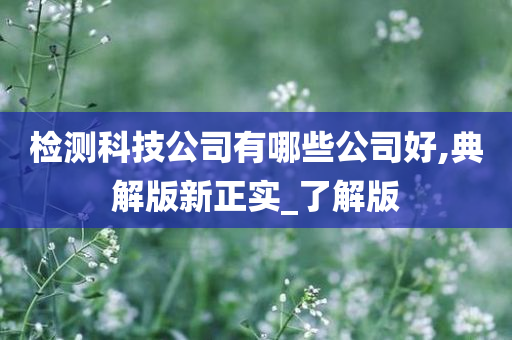 检测科技公司有哪些公司好,典解版新正实_了解版