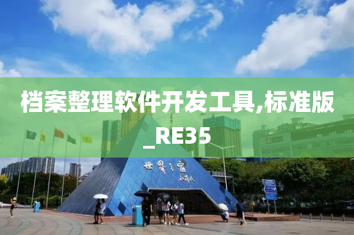 档案整理软件开发工具,标准版_RE35