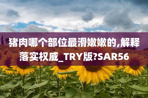 猪肉哪个部位最滑嫩嫩的,解释落实权威_TRY版?SAR56