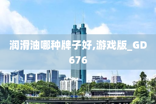 润滑油哪种牌子好,游戏版_GD676