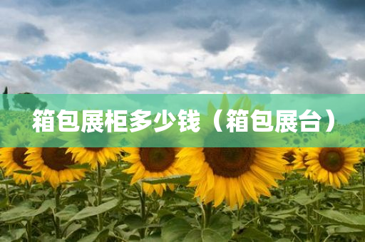 箱包展柜多少钱（箱包展台）