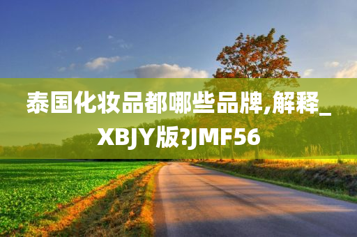 泰国化妆品都哪些品牌,解释_XBJY版?JMF56