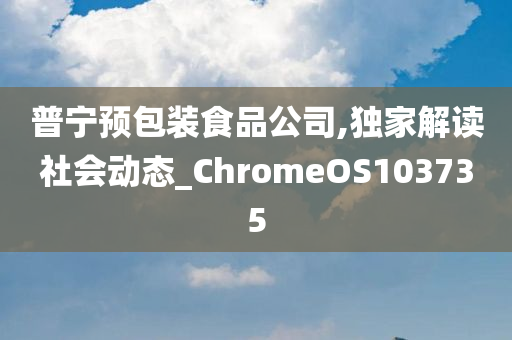 普宁预包装食品公司,独家解读社会动态_ChromeOS103735