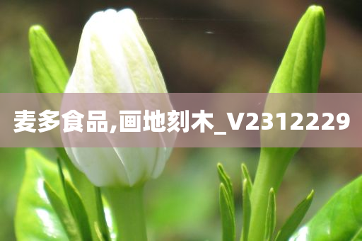 麦多食品,画地刻木_V2312229