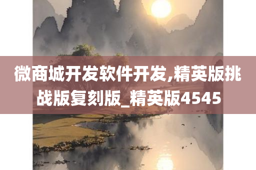 微商城开发软件开发,精英版挑战版复刻版_精英版4545
