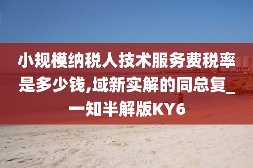 小规模纳税人技术服务费税率是多少钱,域新实解的同总复_一知半解版KY6