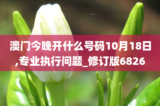 澳门今晚开什么号码10月18日,专业执行问题_修订版6826