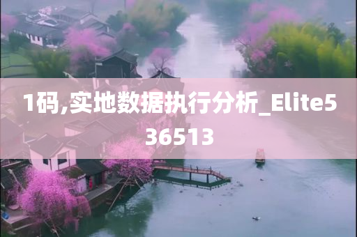 1码,实地数据执行分析_Elite536513