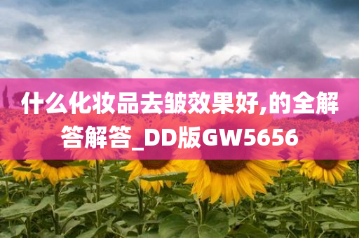 什么化妆品去皱效果好,的全解答解答_DD版GW5656