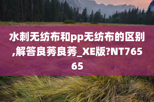 水刺无纺布和pp无纺布的区别,解答良莠良莠_XE版?NT76565