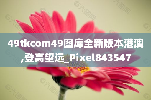 49tkcom49图库全新版本港澳,登高望远_Pixel843547