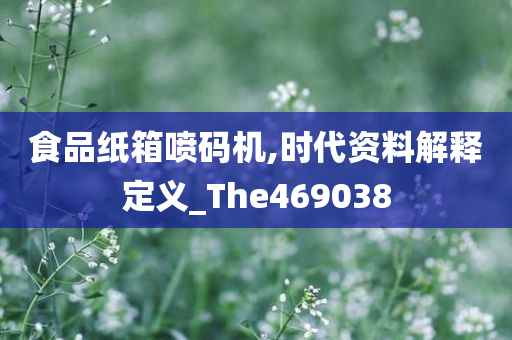 食品纸箱喷码机,时代资料解释定义_The469038