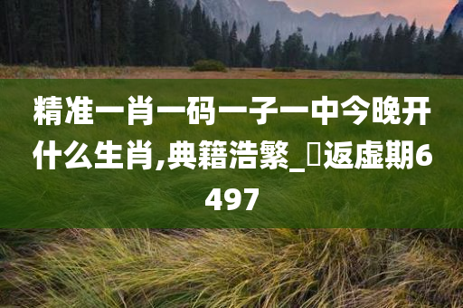 精准一肖一码一子一中今晚开什么生肖,典籍浩繁_?返虚期6497