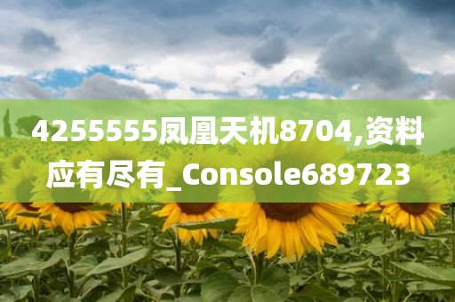 4255555凤凰天机8704,资料应有尽有_Console689723