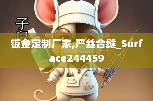 钣金定制厂家,严丝合缝_Surface244459