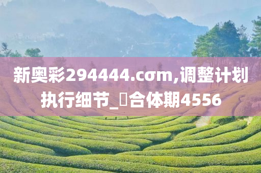 新奥彩294444.cσm,调整计划执行细节_?合体期4556