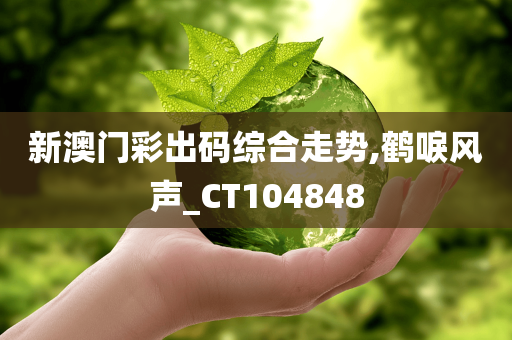 新澳门彩出码综合走势,鹤唳风声_CT104848