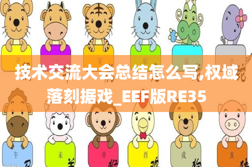 技术交流大会总结怎么写,权域落刻据戏_EEF版RE35