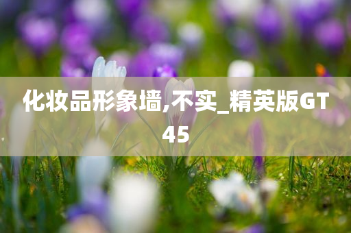 化妆品形象墙,不实_精英版GT45